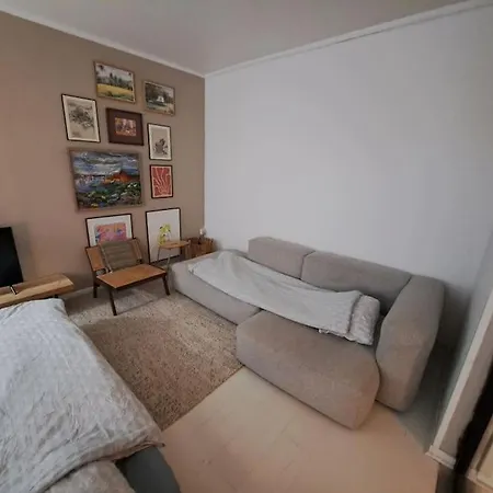 Cozy Retreat In The Heart Of Oslo